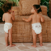 Fralda Cueca Subscrição